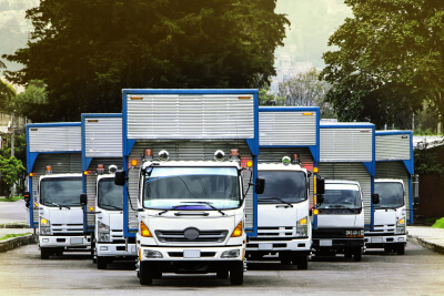 fleet of trucks of several brands